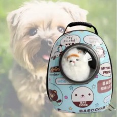 [무료배송] 강아지 이동장 고양이 이동가방 애견 이동장 그래픽민트