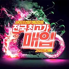 오토바이매입125ccpcx크루심nmax300cc닌자r3xmax포르자adv