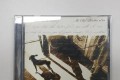 [중고 CD] Chad Lawson Trio The OZ Sessions