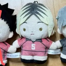 하이큐 츠부누이 인형