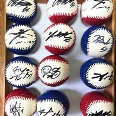 2017년 기아타이거즈 우승멤버 싸인볼 (투톤 로고볼-안전구)