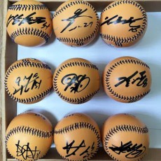 2017년 기아타이거즈 우승멤버 싸인볼 (호걸이 로고볼-안전구)