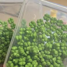 네잎클로버 비즈 약 100개