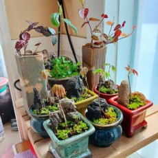 공간부족으로 작고 예쁜거 찿으시는분 톡주세요