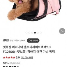 이비야야 강아지 이동가방