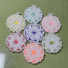 꽃수세미 10개만원