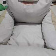 올치 애견카시트팔아요