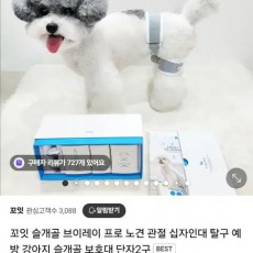 꼬잇 슬개골 보호대 S