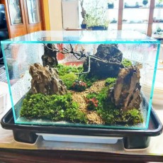 기암괴석 이끼 테라리움