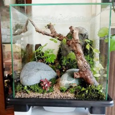 30큐브 이끼 테라리움