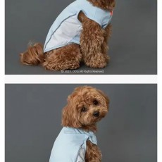 강아지 쿨링 아이스쿨티 2XL 택달린 새상품