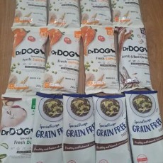 닥터독 강아지 사료 3키로 일괄