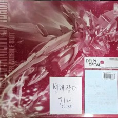 MG 테스타먼트 건담 + 델피데칼 판매합니다!