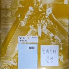 MG 골드 프레임 + 델피데칼 판매합니다!