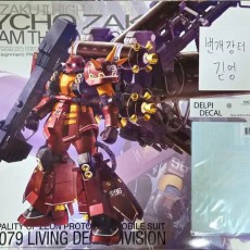 MG 사이코 자쿠 Ver.ka + 델피데칼 판매합니다!