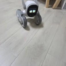 루나 강아지 로봇  AI