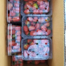 대추방울토마토600g 3팩