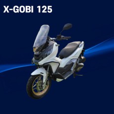 [온모터바이크] X-GOBI 고비125 / 26년식 / 신차