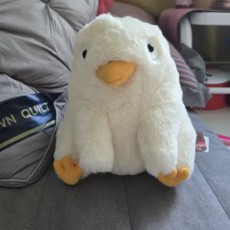 (일본정품)오오토리사마 인형