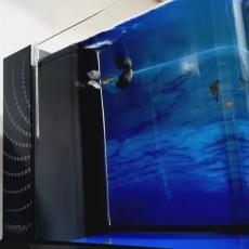 일체형 수족관 어항 라운드유리 1자