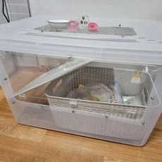 햄스터 용품 리빙박스 120L 판매합니다. (기타 물품 덤으로 드려요)