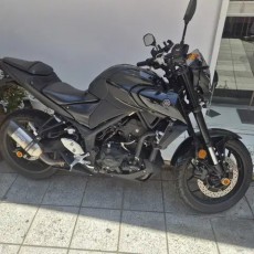 20년식 mt-03 판매 mt03