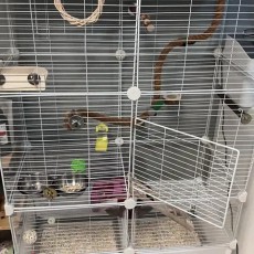 새장, 앵무새용품 일괄 판매