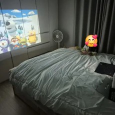 르바타 빔프로젝트 E431S, 프로젝터