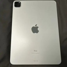아이패드 프로11 2세대 256GB
