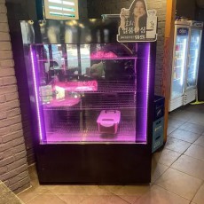 숙성냉장고 겸 정육쇼케이스 판매합니다