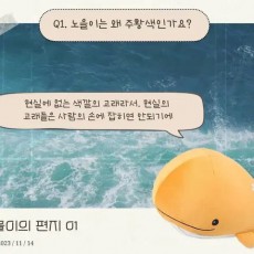 어바등 노을이 담요, 인형, 키링 구합니다