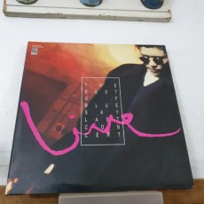 푸른하늘 LIVE 2LP    1994   동아기획