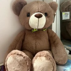 곰인형 중간 사이즈