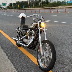 할리데이비슨 쵸퍼 스포스터 883