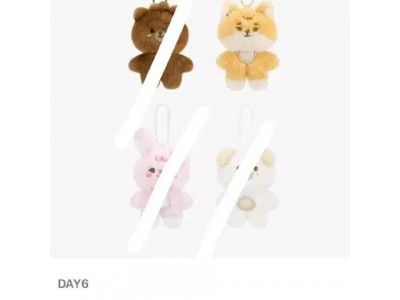 데이식스 쁘쁘멀 케