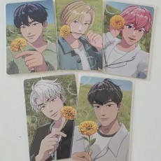 플레이브) 메디힐 2차 포카만 판매합니다.